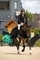 Graham Gillespie lands Sentower Park’s CSI3* Grand Prix with a flourish at his first show for a month with Veneno in this week’s international round-up